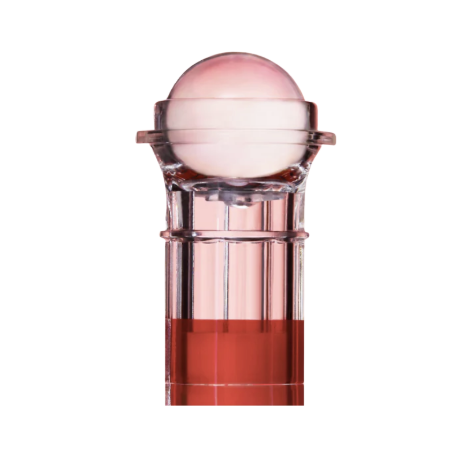 Lightinderm Programme Lift – Soin visage lifting | Institut de beauté Ajaccio A Perla Rara